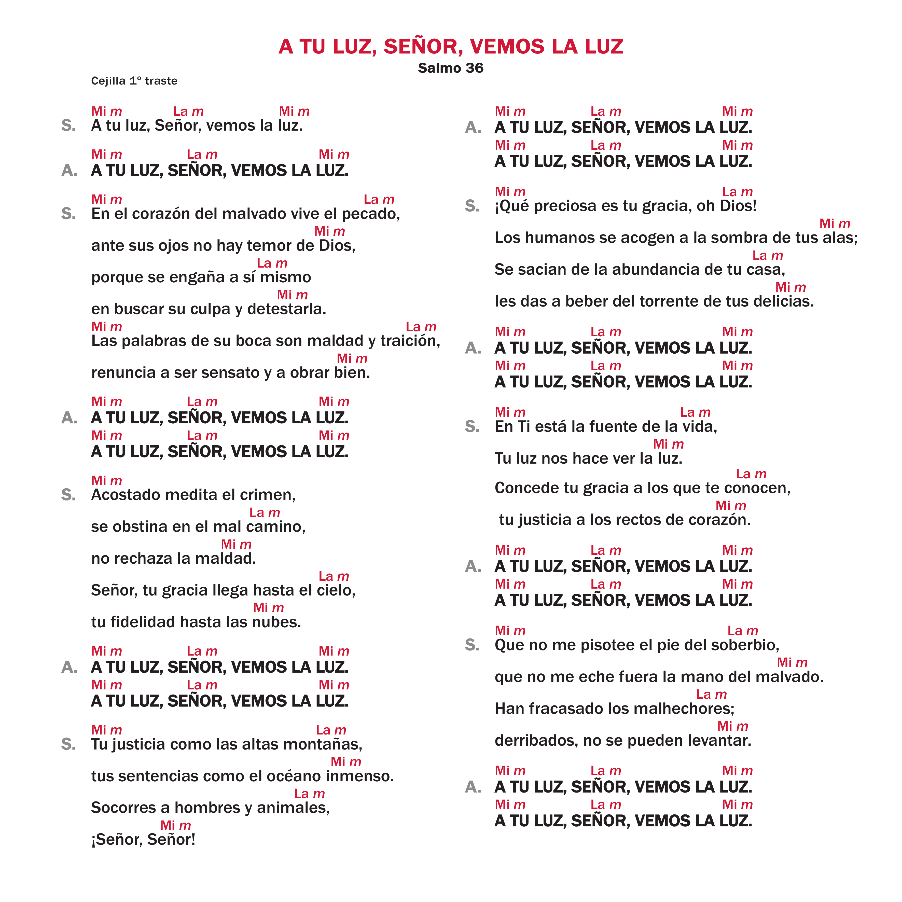 A tu luz, Señor, vemos la luz