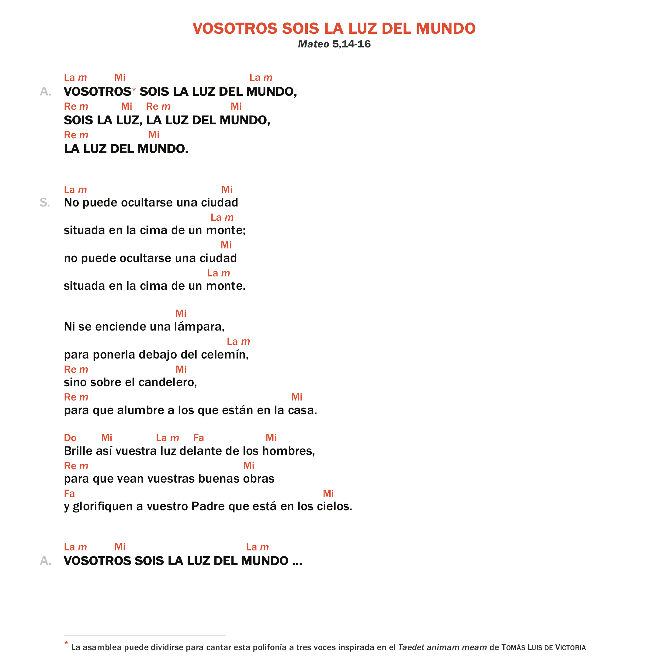 Vosotros sois la luz del mundo